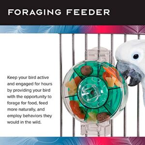 Featherland Paradise | Creative Foraging Systems Bird Cage Feeder (Gen II) - Extra Large| Intermediate Level Foraging Wheel | Interactive Bird Feeder for Large Birds