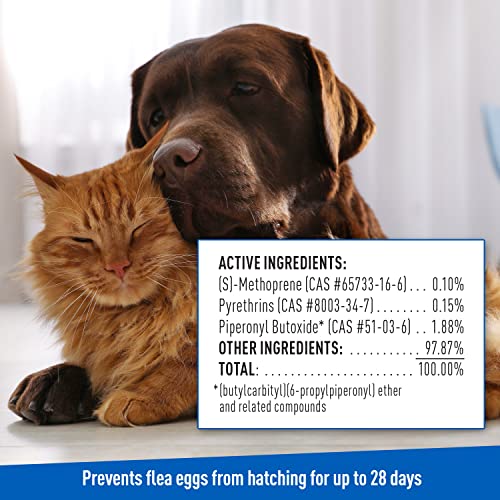 Adams Plus Flea & Tick Shampoo with Precor for Cats, Kittens, Dogs & Puppies Over 12 Weeks Of Age, Sensitive Skin Flea Treatment Formula, Kills Adult Fleas, Flea Eggs, Ticks, and Lice, 1 Gallon