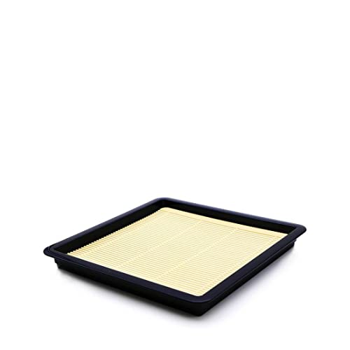 JapanBargain 3183, Japanese Soba Noodle Plates with Bamboo Look Drain Mat Lacquered Sushi Serving Trays Made in Japan, Set of 2