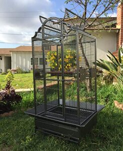 large elegant wrought iron open dome play top bird parrot cage, include metal seed guard solid metal feeder nest doors