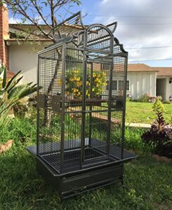 large elegant wrought iron open dome play top bird parrot cage, include large front door and small pull down door, metal seed guard, solid metal feeders, breeding doors