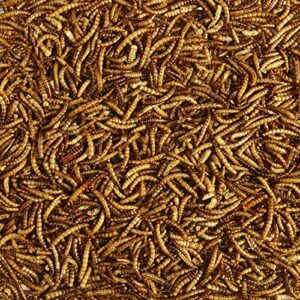 Kaytee Wild Bird Food Mealworms For Bluebirds, Wrens, Robins, Chickadees, Woodpeckers, Cardinals & Chickens, 3.5 Ounce