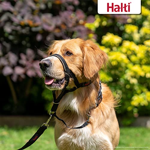 The Company of Animals HALTI Headcollar, Black, 3-Size, Model Number: 13200, Size 3 (Pack of 1)