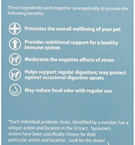 VAN BEEK Synacore Digestive Support for Dogs, 30-Pack