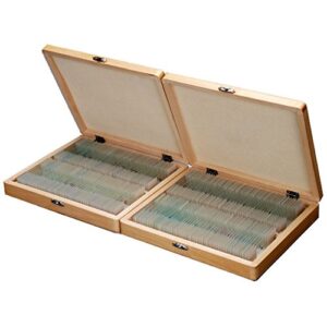 amscope ps200 basic biology prepared slide set for student and homeschool use, set of 200 prepared glass slides, includes fitted wooden storage box
