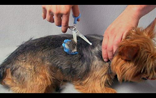 SCAREDY CUT Silent Pet Grooming Kit for Dog, Cat and All Pet Grooming - A Quiet Alternative to Electric Clippers for Sensitive Pets (Right-Handed Blue)