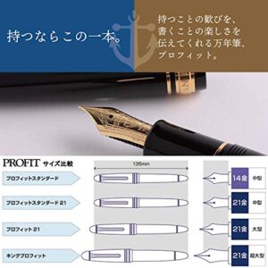 Sailor 11-1219-720 Fountain Pen, Pro Fit Standard, Black, Zoom