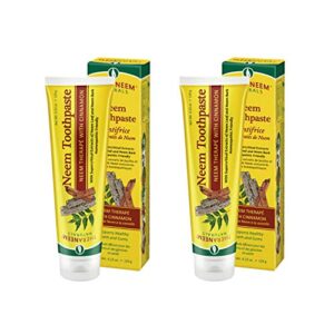 theraneem neem toothpaste, cinnamon | supports healthy teeth and gums and a fresh mouth | fluoride free, vegan | 4.23 oz | 2pk