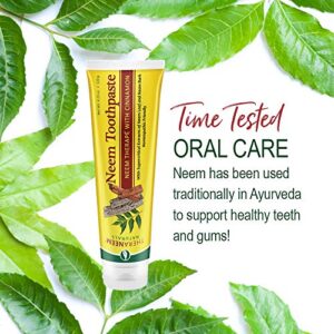 TheraNeem Neem Toothpaste, Cinnamon | Supports Healthy Teeth and Gums and a Fresh Mouth | Fluoride Free, Vegan | 4.23 oz | 2pk
