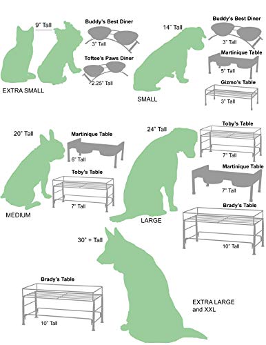 PetRageous 81030 Gizmo's Set The Table Steel Frame Dog Feeder, 3-Inch Tall Dining Table by 13-Inch Long and 6-Inch Wide, Holds Two 5.5-Inch Diameter Bowls, for Small and Medium Dogs and Cats, Black