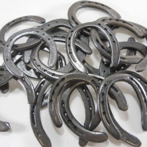 10 Pc New #3 (old look) Cast Iron Horseshoes for Crafting