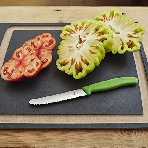 Victorinox Swiss Classic 4.3-inch Wavy Edge Tomato and Table Knife, Green