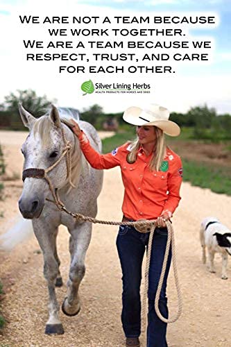 Silver Lining Herbs 20 Keep Cool Equine Calmer - Natural Herbal Horse Supplement - Supports Calming Anxious and Excitable Horses - Helps Maintain Contentment and Relieve Stress - 1 lb Bag
