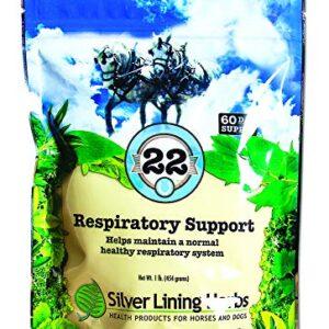 Silver Lining Herbs 22 Respiratory Support for Horses - Supports Normal Function Of The Lungs - Helps Keep Airways Clear - Assists Horse's Body In Combating Environmental Pollutants - 1 lb Bag