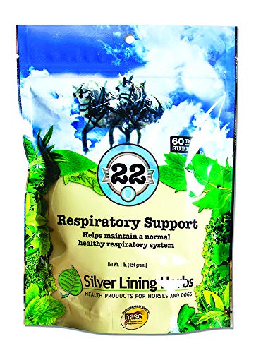 Silver Lining Herbs 22 Respiratory Support for Horses - Supports Normal Function Of The Lungs - Helps Keep Airways Clear - Assists Horse's Body In Combating Environmental Pollutants - 1 lb Bag