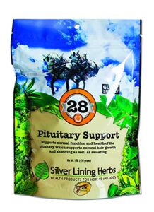 silver lining herbs 28 pituitary support - supports equine normal function and health of the pituitary - natural herbal blend may help pituitary dysfunction in senior horses - 1 lb bag