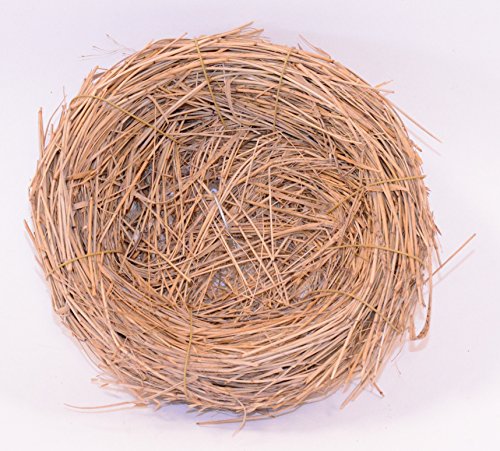 Darice Bird Nest with Wire, 5", 5", Brown