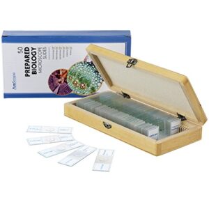 AmScope PS50 Prepared Microscope Slide Set for Basic Biological Science Education, 50 Slides, Includes Fitted Wooden Case