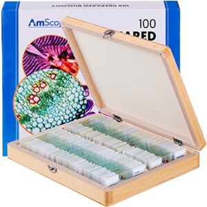 amscope ps100b prepared microscope slide set for basic biological science education, 100 slides, set b, includes fitted wooden case