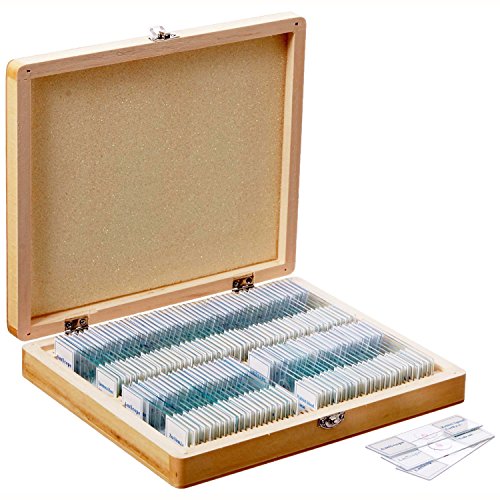 AmScope PS100E Basic Biology Prepared Slide Set for Student and Homeschool Use, Set of 100 Prepared Glass Slides (Set E), Includes Fitted Wooden Storage Box