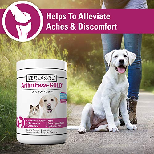 Vet Classics ArthriEase-Gold Hip & Joint Support for Dogs, Cats– Pet Health Supplement Powder – Alleviates Aches, Discomfort – For Flexibility, Healthy Joint Function – Antioxidants – 1 Lb.