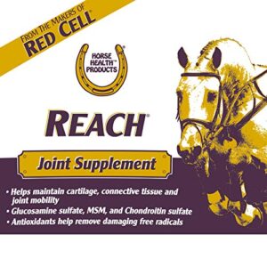 Horse Health Reach Joint Pellets 2.81 Pounds