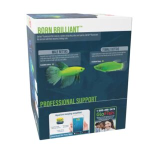 Tetra GloFish Betta Aquarium Kit 1.5 Gallons, Easy Setup and Maintenance, Perfect Starter Tank,Black/Clear