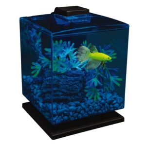 tetra glofish betta aquarium kit 1.5 gallons, easy setup and maintenance, perfect starter tank,black/clear