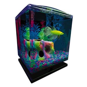 Tetra GloFish Betta Aquarium Kit 1.5 Gallons, Easy Setup and Maintenance, Perfect Starter Tank,Black/Clear