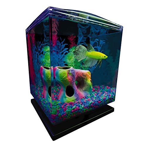 Tetra GloFish Betta Aquarium Kit 1.5 Gallons, Easy Setup and Maintenance, Perfect Starter Tank,Black/Clear