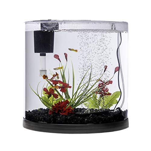Tetra ColorFusion Starter aquarium Kit 3 Gallons, Half-Moon Shape, With Bubbler And Color-Changing Light Disc