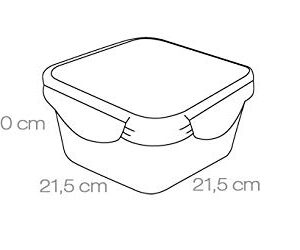 Forever Crystal Tescoma 3.0 Litre Square Container Fresh Box