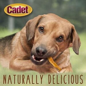 Cadet Gourmet Sweet Potato Fries Dog Treats - Healthy & Natural Sweet Potato Dog Training Treats for Small & Large Dogs - Inspected & Tested in USA (1 lb.)