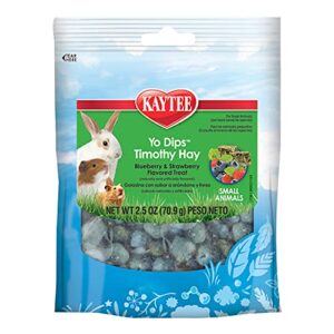 kaytee yo dips timothy hay for small animal - blueberry strawberry 2.5 oz