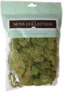 quality growers qg2060 preserved reindeer moss, 108.5 cubic inch, spring green