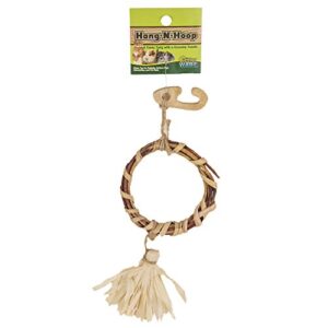 ware manufacturing natural hang-n-hoop small pet chew toy