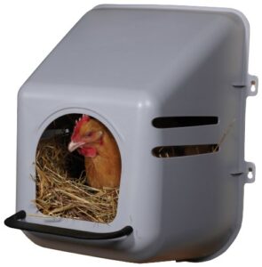 little giant® plastic chicken nesting box | chicken nest box for laying hens | chicken bed | egg laying chicken box | chicken perch | nesting box for chicken coops