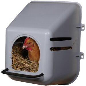 Little Giant® Plastic Chicken Nesting Box | Chicken Nest Box for Laying Hens | Chicken Bed | Egg Laying Chicken Box | Chicken Perch | Nesting Box for Chicken Coops