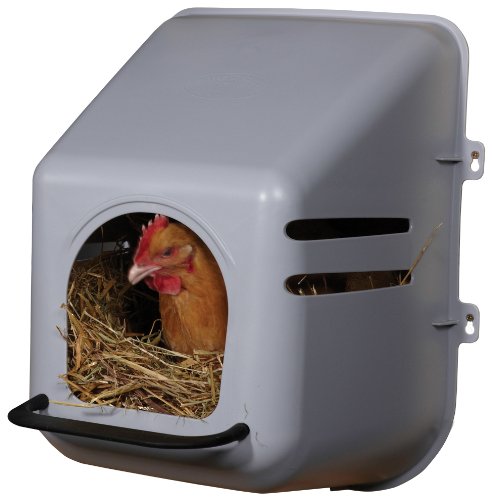 Little Giant® Plastic Chicken Nesting Box | Chicken Nest Box for Laying Hens | Chicken Bed | Egg Laying Chicken Box | Chicken Perch | Nesting Box for Chicken Coops