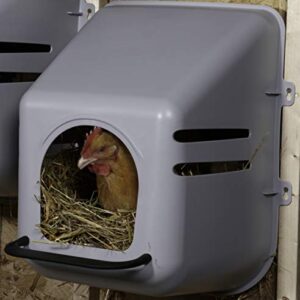 Little Giant® Plastic Chicken Nesting Box | Chicken Nest Box for Laying Hens | Chicken Bed | Egg Laying Chicken Box | Chicken Perch | Nesting Box for Chicken Coops