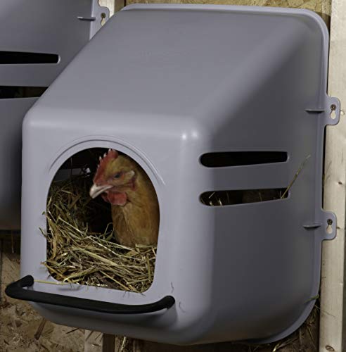Little Giant® Plastic Chicken Nesting Box | Chicken Nest Box for Laying Hens | Chicken Bed | Egg Laying Chicken Box | Chicken Perch | Nesting Box for Chicken Coops