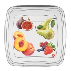 snips storage food container with airtight lid, set of 3, 16-ounce, 5", clear
