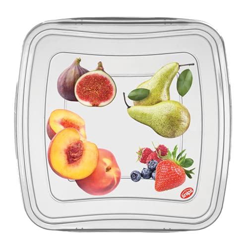 Snips Storage Food Container with Airtight Lid, Set of 3, 16-Ounce, 5", Clear