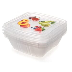 Snips Storage Food Container with Airtight Lid, Set of 3, 16-Ounce, 5", Clear