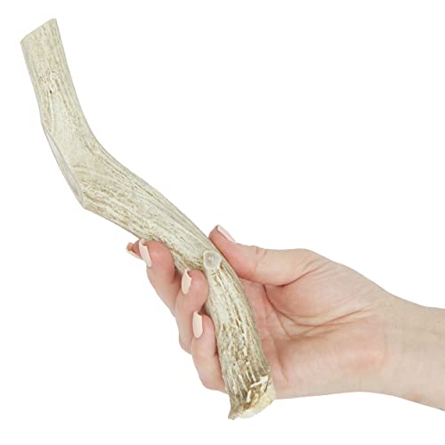 Prairie Dog Pet Products Deer Large Antler Treat, 8-9"