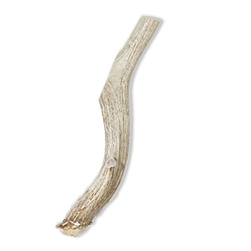 Prairie Dog Pet Products Deer Large Antler Treat, 8-9"