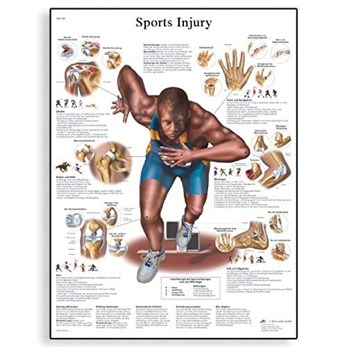 3B Scientific VR1188L Glossy Laminated Paper Sports Injuries Anatomical Chart, Poster Size 20" Width x 26" Height