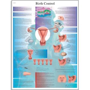 3b scientific vr1591l glossy laminated paper birth control anatomical chart, poster size 20" width x 26" height