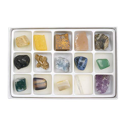 Excellerations Scientific Exploration Rock Specimens Pack of 15, Educational STEM Toy, Preschool, Kids Toys (Item # ROCKBOX)