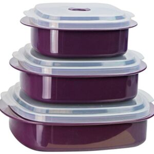 Calypso Basics by Reston Lloyd 6-Piece Microwave Cookware, Steamer and Storage Set, Plum